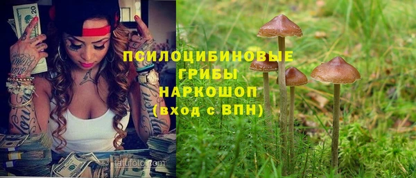 винт Алзамай
