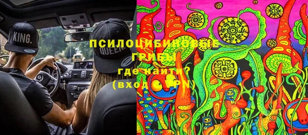 винт Алзамай
