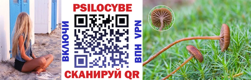 Галлюциногенные грибы Psilocybine cubensis Сочи
